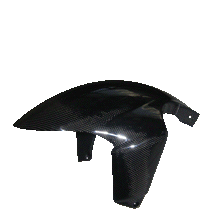 Carbon Kotflügel vorne